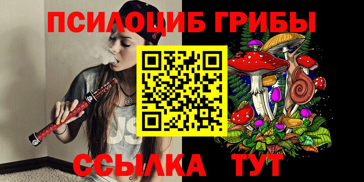 Галлюциногенные грибы Psilocybine cubensis  Вход с VPN  Улан-Удэ 